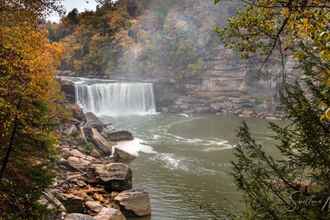 04.TNS_SM00921 
Great Smoky Mountains National Park, Tennessee, USA