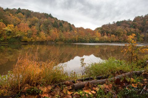 00.TNS_SM00992 
Great Smoky Mountains National Park, Tennessee, USA