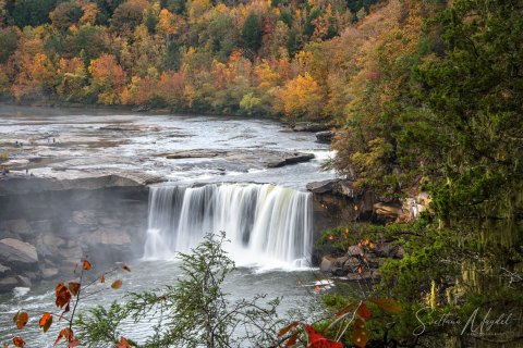 04.TNS_SM01054 
Great Smoky Mountains National Park, Tennessee, USA