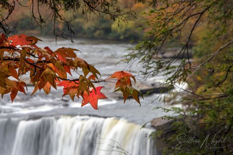 05.TNS_SM01089 
Great Smoky Mountains National Park, Tennessee, USA