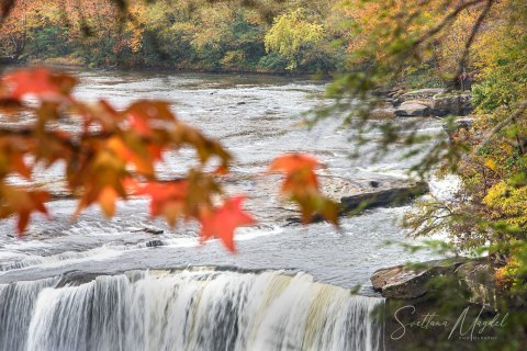 05.TNS_SM01093 
Great Smoky Mountains National Park, Tennessee, USA