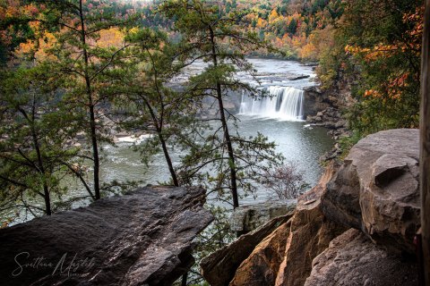04.TNS_SM01116 
Great Smoky Mountains National Park, Tennessee, USA