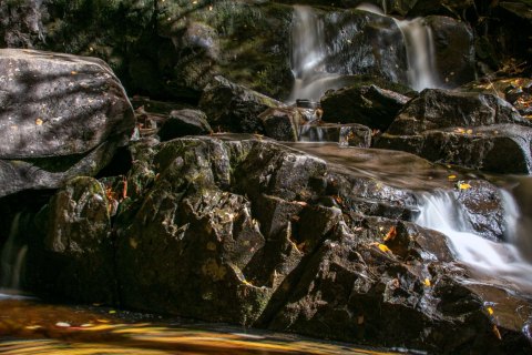 04.TNS_SM01168 
Great Smoky Mountains National Park, Tennessee, USA
