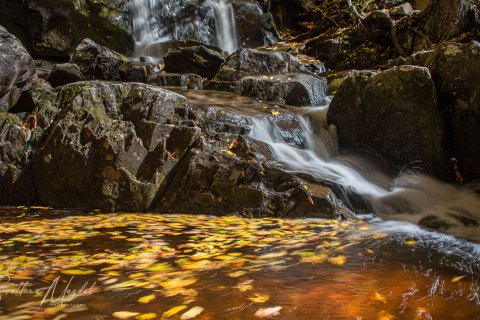 04.TNS_SM01191 
Great Smoky Mountains National Park, Tennessee, USA