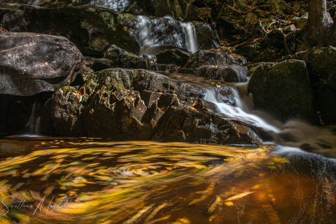04.TNS_SM01194 
Great Smoky Mountains National Park, Tennessee, USA