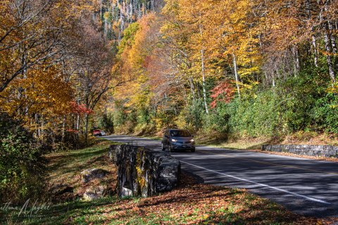 07.TNS_SM01227 
Great Smoky Mountains National Park, Tennessee, USA