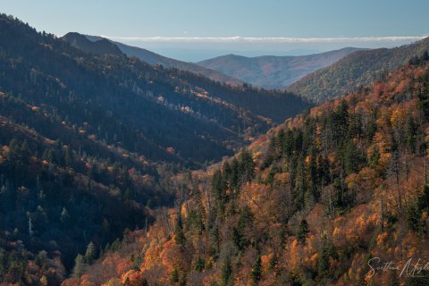 01.TNS_SM01234 
Great Smoky Mountains National Park, Tennessee, USA