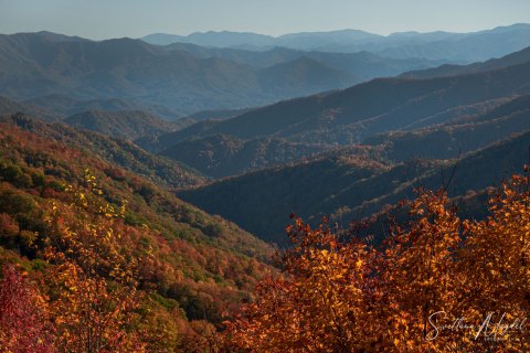 01.TNS_SM01259 
Great Smoky Mountains National Park, Tennessee, USA