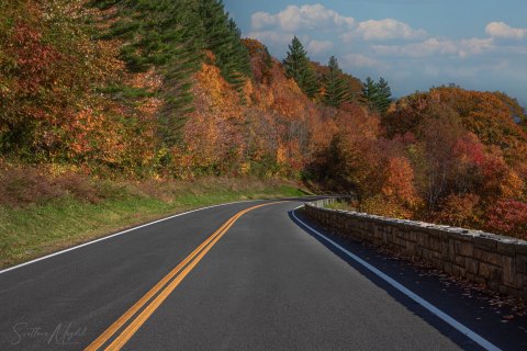 07.TNS_SM01265 
Great Smoky Mountains National Park, Tennessee, USA