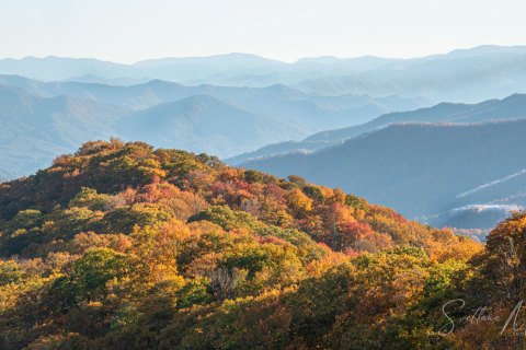 02.NS_SM01301 
Great Smoky Mountains National Park, Tennessee, USA