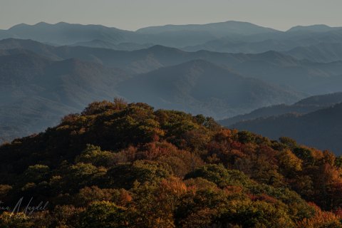 01.TNS_SM01311 
Great Smoky Mountains National Park, Tennessee, USA