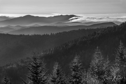 01.TNS_SM01327 
Great Smoky Mountains National Park, Tennessee, USA