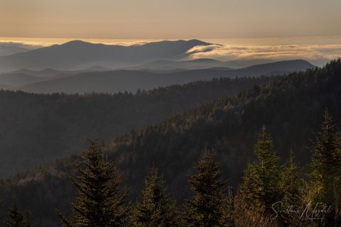 01.TNS_SM01329 
Great Smoky Mountains National Park, Tennessee, USA