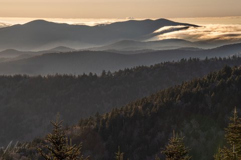 01.TNS_SM01343 
Great Smoky Mountains National Park, Tennessee, USA