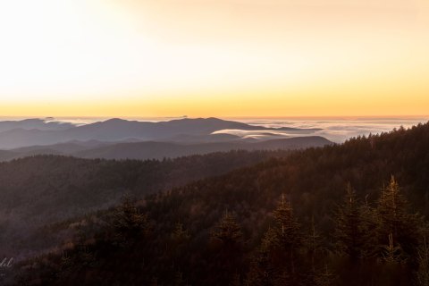 02.TNS_SM01412_SM01414 
Great Smoky Mountains National Park, Tennessee, USA