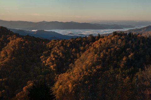 02.TNS_SM0141501_SM01504 
Great Smoky Mountains National Park, Tennessee, USA