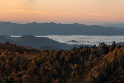 02.TNS_SM01444_SM01446 
Great Smoky Mountains National Park, Tennessee, USA