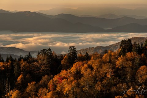 02.TNS_SM01518 
Great Smoky Mountains National Park, Tennessee, USA