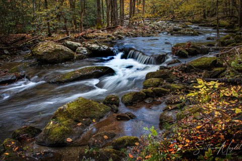 04.TNS_SM01680 
Great Smoky Mountains National Park, Tennessee, USA