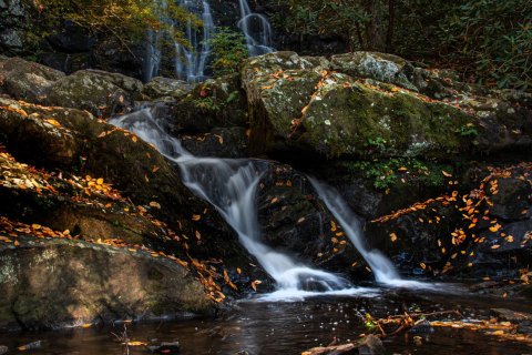 04.TNS_SM01686 
Great Smoky Mountains National Park, Tennessee, USA
