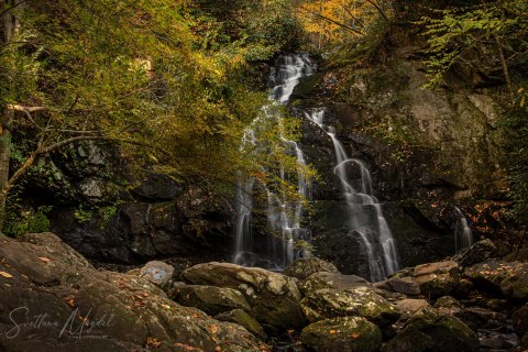 04.TNS_SM01702 
Great Smoky Mountains National Park, Tennessee, USA